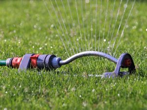 lawn-care-640x480-88668694.jpeg
