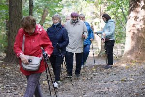 elderly-person-640x480-4177294.jpeg