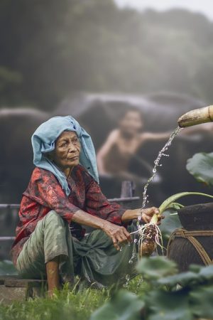 elderly-person-640x480-54889296.jpeg