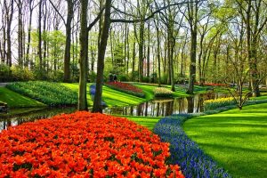 lawn-care-640x480-45668924.jpeg