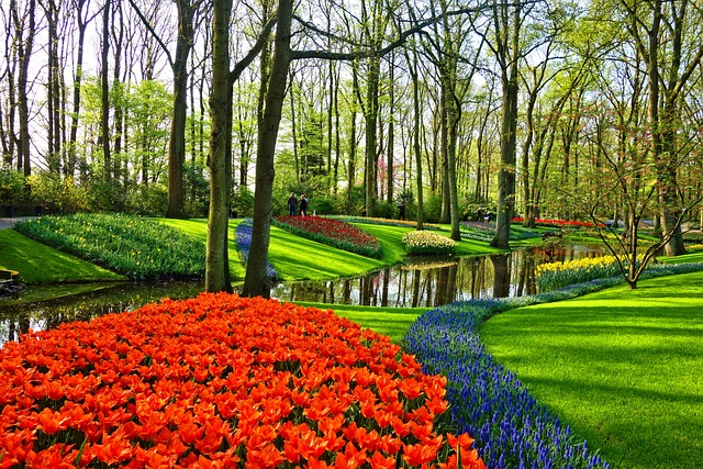 lawn-care-640x480-45668924.jpeg