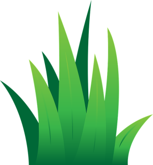 lawn-care-640x480-49490418.png