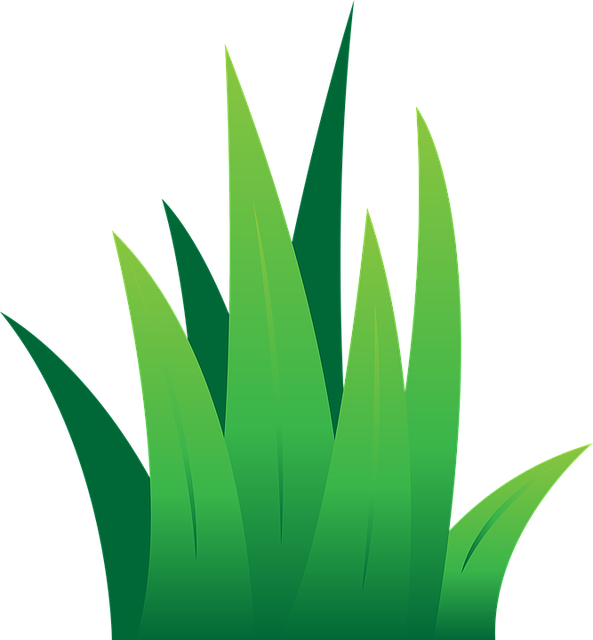 lawn-care-640x480-49490418.png
