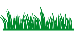 lawn-care-640x480-54309665.png