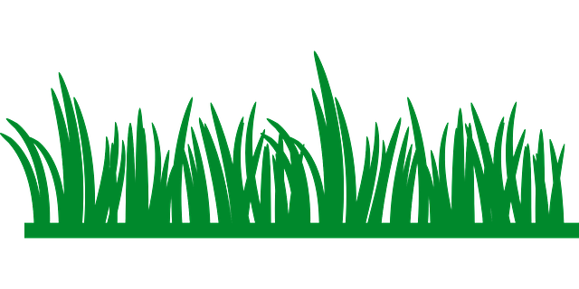 lawn-care-640x480-54309665.png