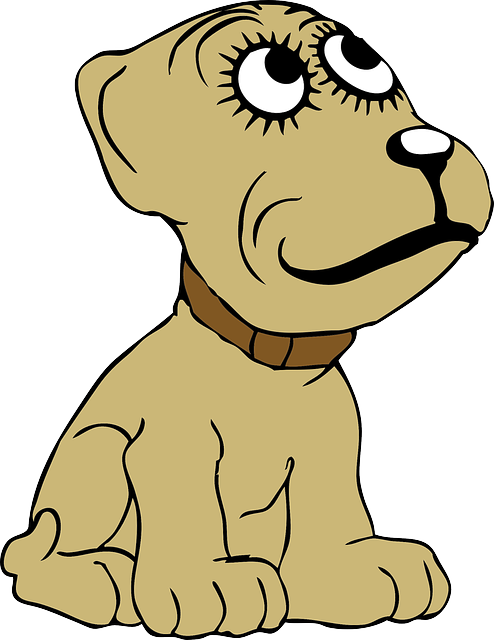 pet-sitting-640x480-75062765.png