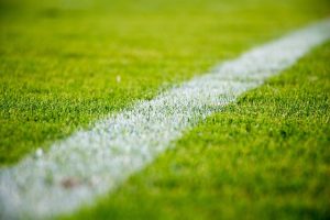 lawn-care-640x480-15752444.jpeg