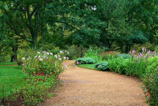 lawn-care-640x480-39654604.jpeg