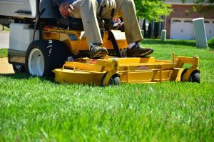 lawn-care-640x480-55099185.jpeg