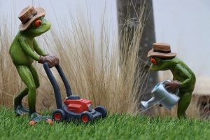 lawn-care-640x480-65774114.jpeg