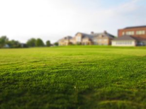 lawn-care-640x480-17379960.jpeg