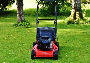 lawn-care-640x480-24415653.jpeg