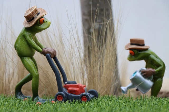 lawn-care-640x480-93045713.jpeg