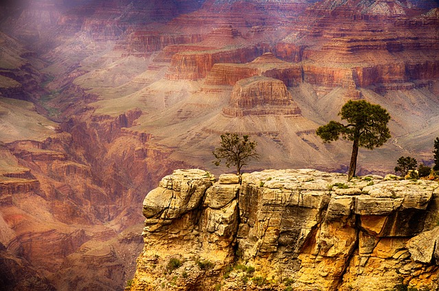 arizona
