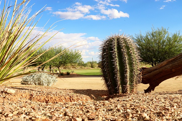 arizona