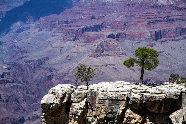 arizona