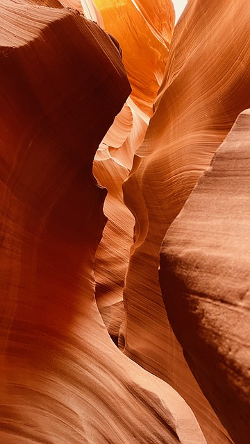 arizona