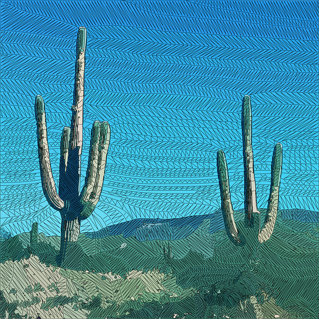 arizona