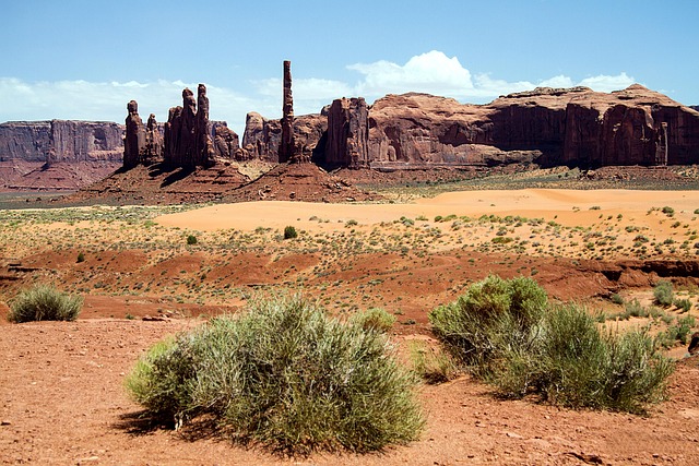 arizona