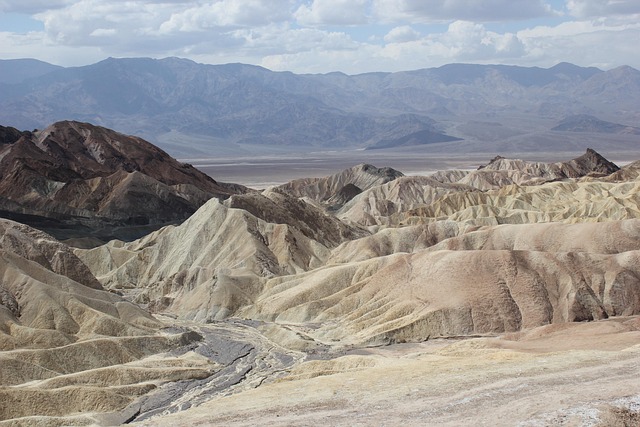 arizona
