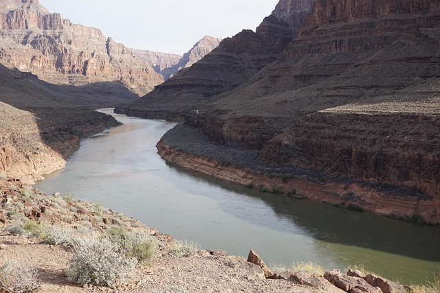 arizona
