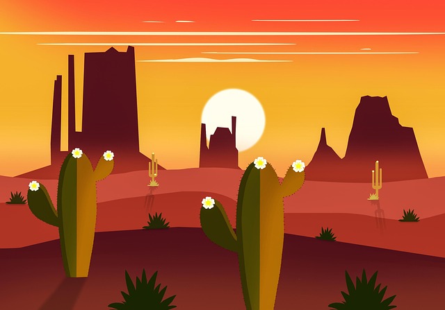 arizona