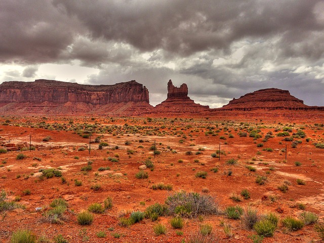arizona