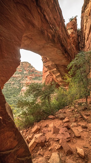 arizona