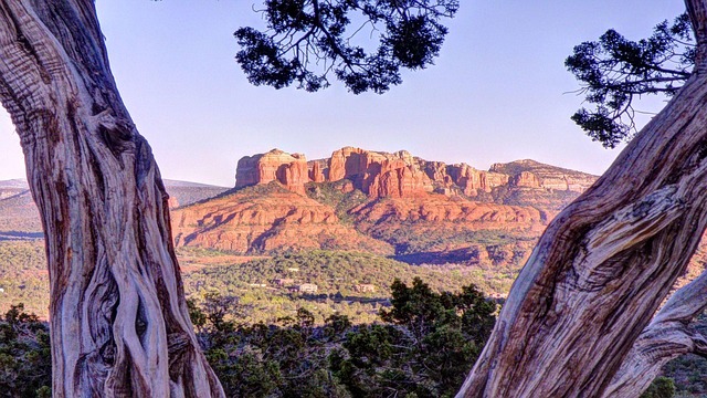 arizona-640x480-95217593.jpeg