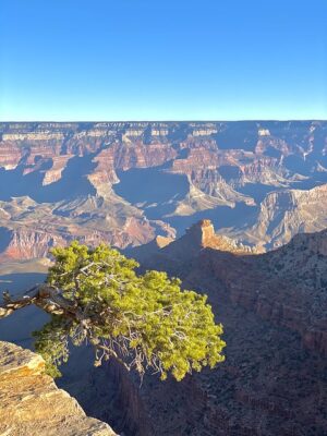 arizona-landscape-640x480-15567757.jpeg