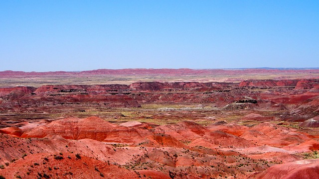 arizona landscape