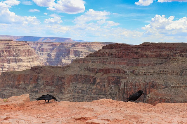 arizona landscape