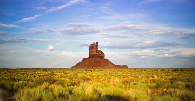 arizona landscape