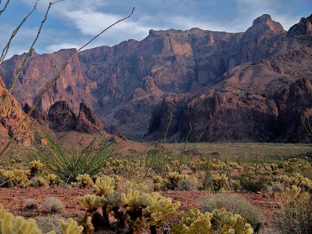 arizona landscape