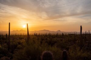 arizona-landscape-640x480-40318800.jpeg