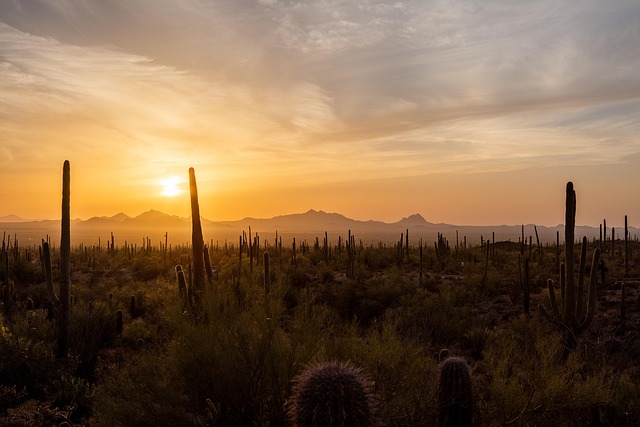 arizona-landscape-640x480-40318800.jpeg