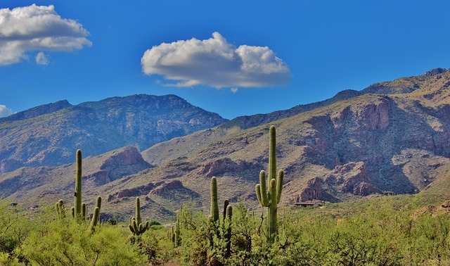 arizona-landscape-640x480-44970938.jpeg