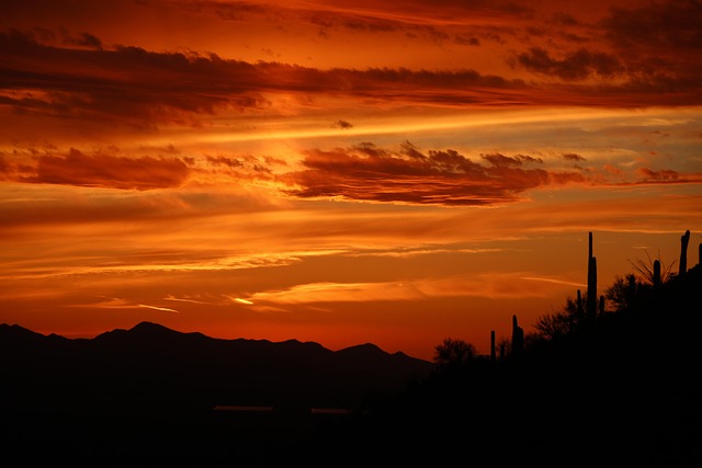 arizona landscape