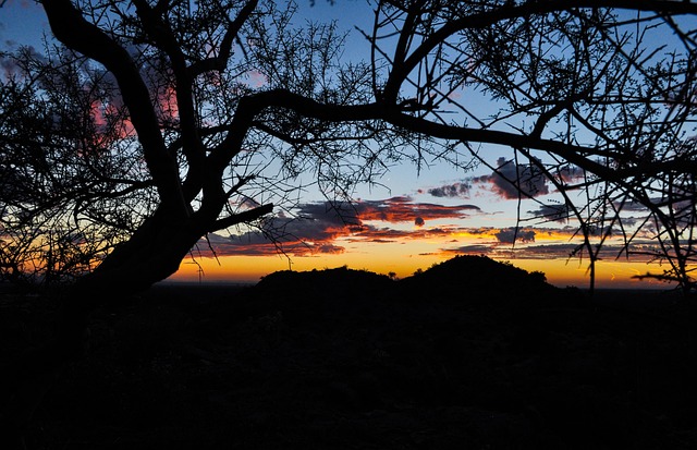 arizona landscape