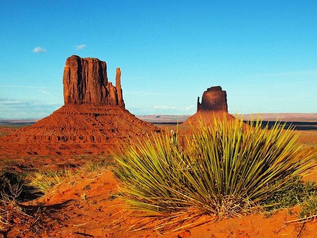 arizona landscape