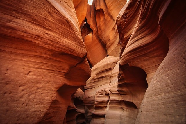 arizona landscape