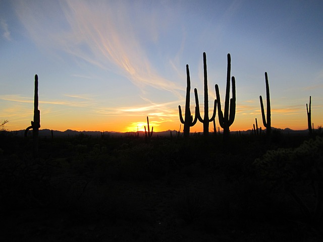 arizona landscape