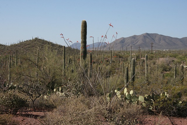 arizona-landscape-640x480-74081654.jpeg