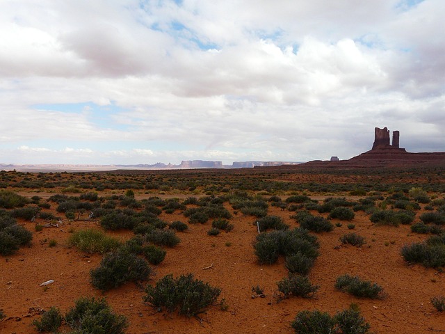 arizona landscape