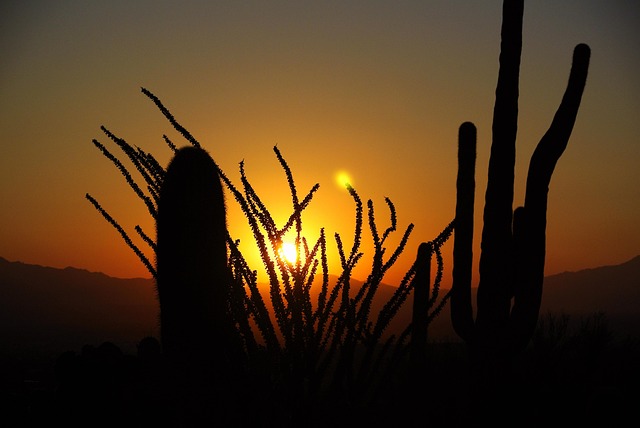 arizona landscape
