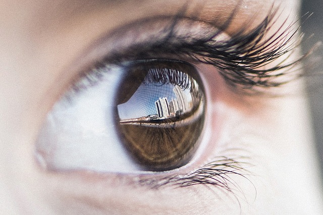 beauty-640x480-4708008.jpeg