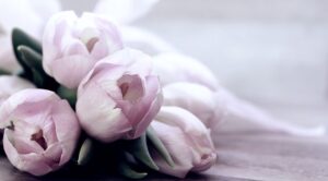 beauty-640x480-65844341.jpeg