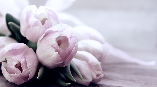 beauty-640x480-65844341.jpeg