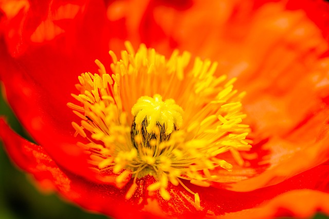 beauty-640x480-82817416.jpeg