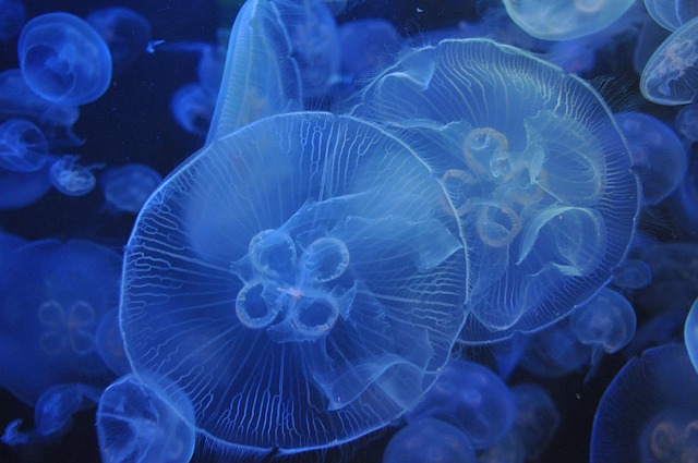 blue